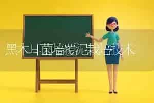 黑木耳菌墙覆泥栽培技术