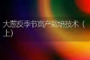 大葱反季节高产栽培技术（上）