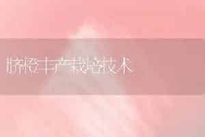 脐橙丰产栽培技术