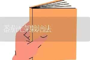 番茄无架栽培法