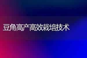 玫瑰的繁育及栽培技术