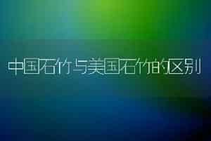 中国石竹与美国石竹的区别