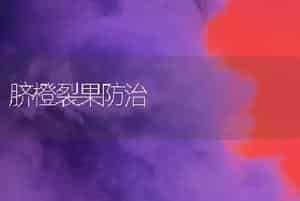 脐橙裂果防治