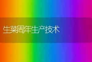 生菜周年生产技术