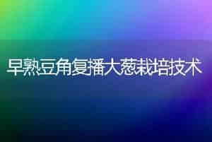 早熟豆角复播大葱栽培技术