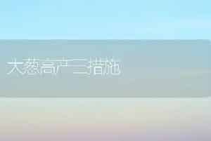 大葱高产三措施