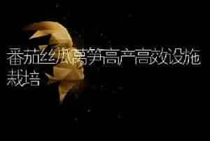 番茄丝瓜莴笋高产高效设施栽培