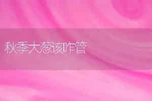 秋季大葱该咋管