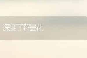 深度了解昙花