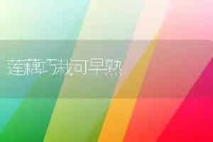 玫瑰三节叶峰