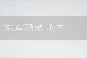 含羞草繁殖栽培技术