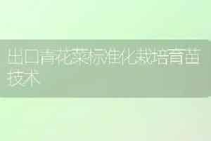 出口青花菜标准化栽培育苗技术