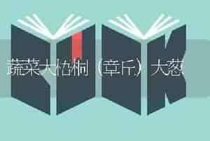 蔬菜大梧桐（章丘）大葱