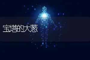 宝塔的大葱