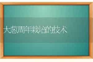 大葱周年栽培的技术