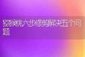 新品推介：介绍几个白菜新品种