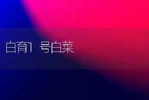 白育1号白菜