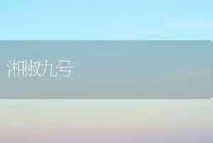 怎样使令箭荷花多开花