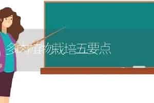 多肉植物栽培五要点