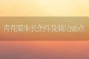 青花菜生长条件及栽培要点