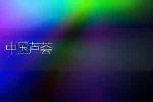 中国芦荟