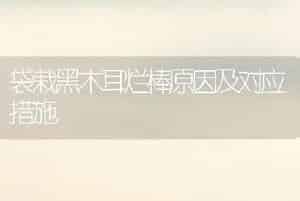 袋栽黑木耳烂棒原因及对应措施