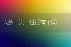 大葱干尖 性质有不同