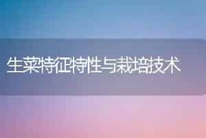 生菜特征特性与栽培技术
