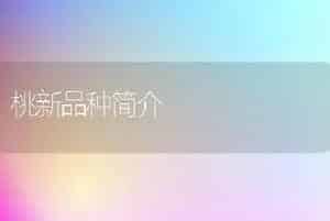 令箭荷花怎么培植