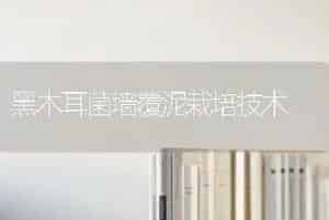 黑木耳菌墙覆泥栽培技术