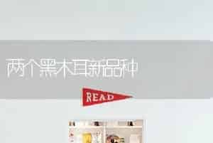 两个黑木耳新品种