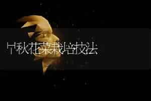 早秋花菜栽培技法