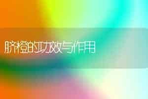 脐橙的功效与作用