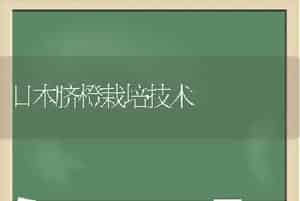 日本脐橙栽培技术