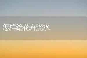 桂花无土盆栽技术的要点