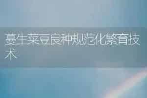 蔓生菜豆良种规范化繁育技术