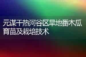郁金香的养护方法