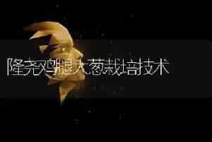 隆尧鸡腿大葱栽培技术