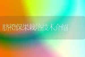 脐橙保果栽培技术介绍