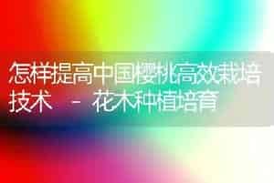怎样提高中国樱桃高效栽培技术 -花木种植培育