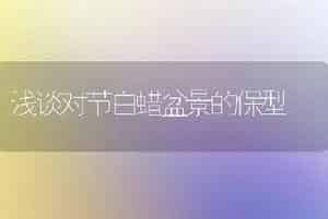 浅谈对节白蜡盆景的保型