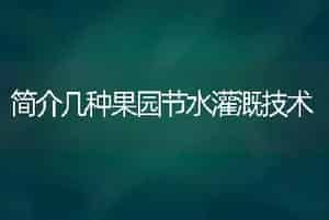 四季桂花树的栽培技术
