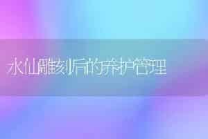怎样科学繁殖郁金香