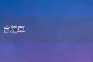 含羞草