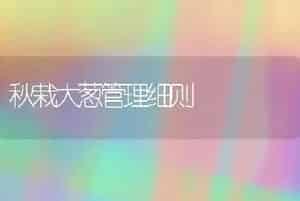 秋栽大葱管理细则