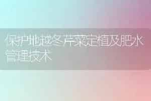 秋红(圣诞玫瑰)