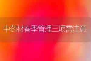 注意四点种好越冬的花菜