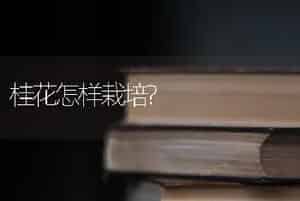 桂花怎样栽培?
