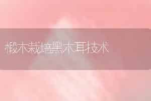 椴木栽培黑木耳技术