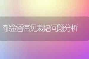 郁金香常见栽培问题分析